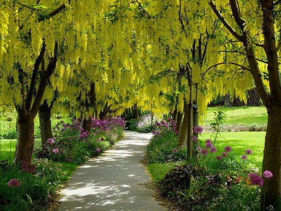 VanDusen Botanical Garden